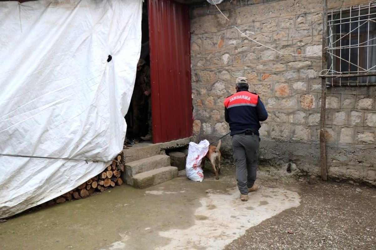 DİYARBAKIR - 256 kilogram esrar ele geçirildi, 5 şüpheli yakalandı