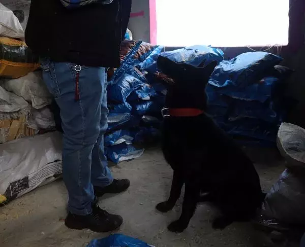 Son dakika! Gaziantep'te, 750 polisle 8 saat sürecek uyuşturucu operasyonu başladı Son dakika! Gaziantep'te, 750 polisle 8 saat sürecek uyuşturucu operasyonu başladı