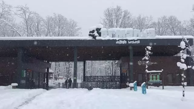 kar ormanya ziyaretcileri icin eglence ye don 13936030 o