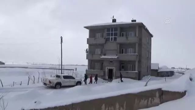 Yüksekova'da yiyecek arayan tilki görüntülendi Yüksekova'da yiyecek arayan tilki görüntülendi