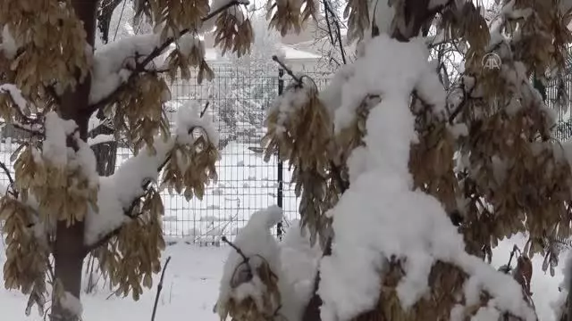 Doğu Anadolu'da kar yağışı ve soğuk hava etkili oluyor Doğu Anadolu'da kar yağışı ve soğuk hava etkili oluyor