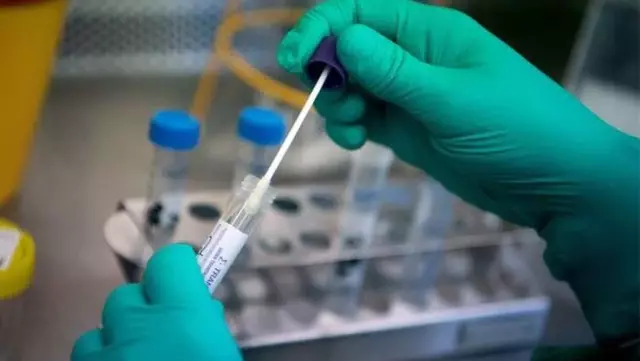 Koronavirüs testlerinde görülmeme ihtimali olan yeni bir mutasyon keşfedildi Koronavirüs testlerinde görülmeme ihtimali olan yeni bir mutasyon keşfedildi