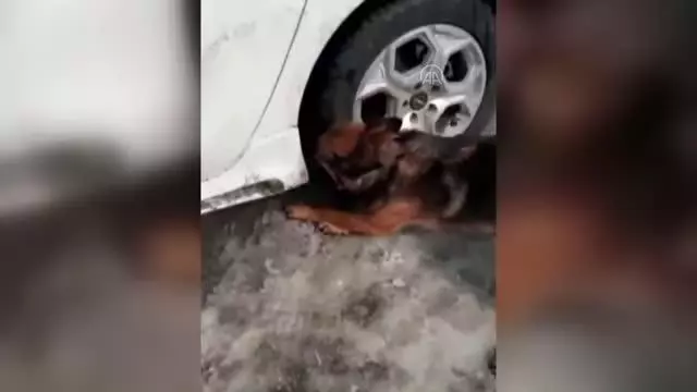 Otomobilin kapı içlerine gizlenmiş 14 kilo 625 gram eroin bulundu Otomobilin kapı içlerine gizlenmiş 14 kilo 625 gram eroin bulundu