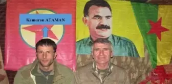 Teröristin geçmişi terör örgütü PKK'nın YPG/PYD bağını ortaya koydu