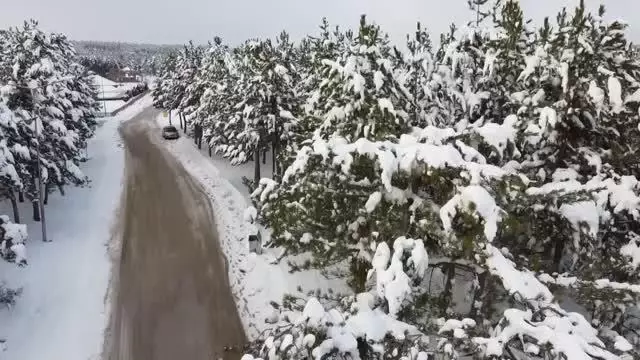 41 yıllık gölet beyaz gelinliğini giydi 41 yıllık gölet beyaz gelinliğini giydi