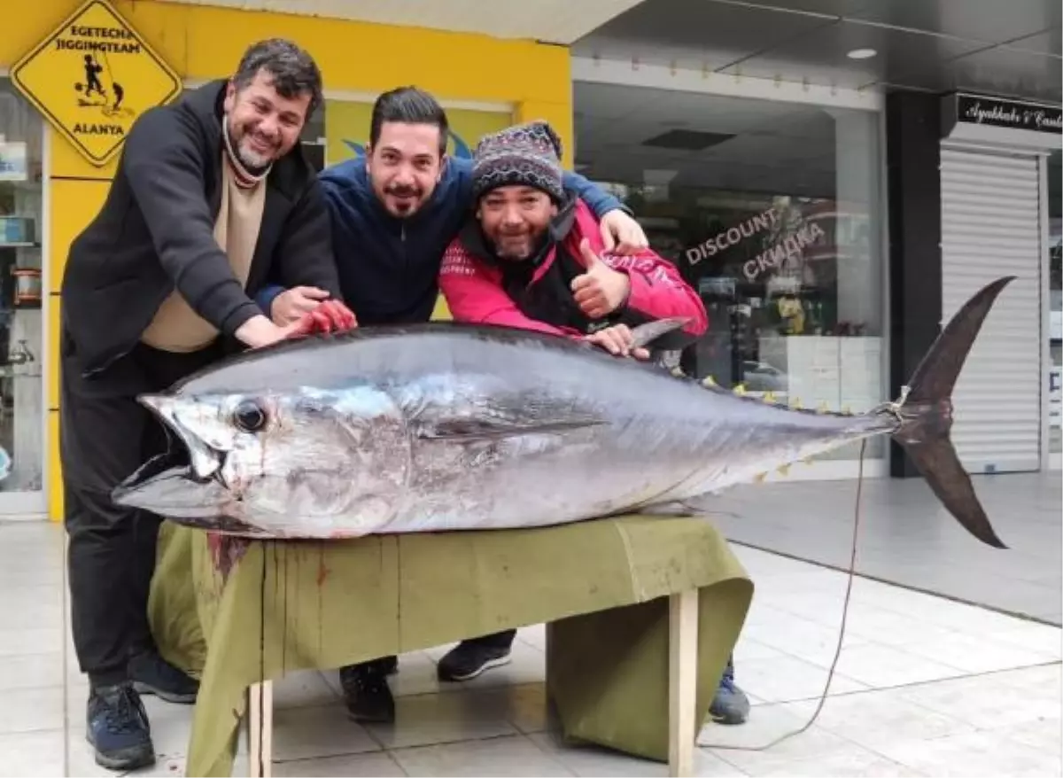 Amatör balıkçı, oltayla 173 santim boyunda orkinos yakaladı