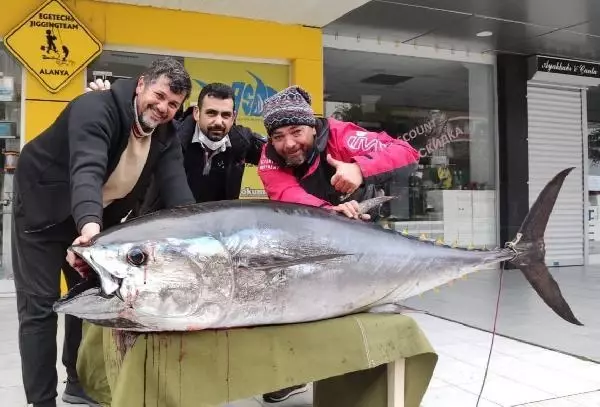 Amatör balıkçı, oltayla 173 santim boyunda orkinos yakaladı Amatör balıkçı, oltayla 173 santim boyunda orkinos yakaladı