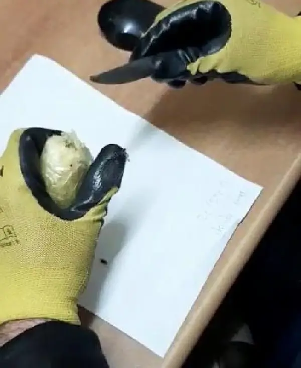 Uyuşturucu operasyonlarında yakalanan 3 zanlı tutuklandı Uyuşturucu operasyonlarında yakalanan 3 zanlı tutuklandı