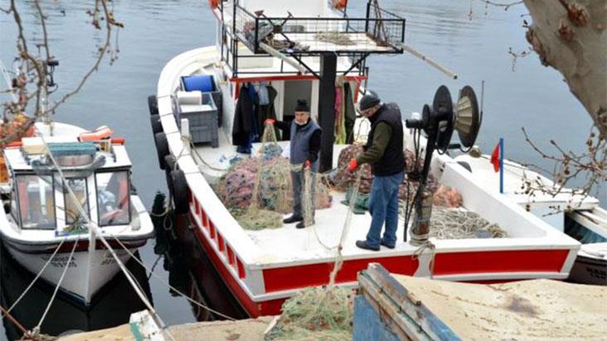 Balıkçıların korkulu rüyası 'deniz salyası' 10 yılın ardından yeniden ortaya çıktı