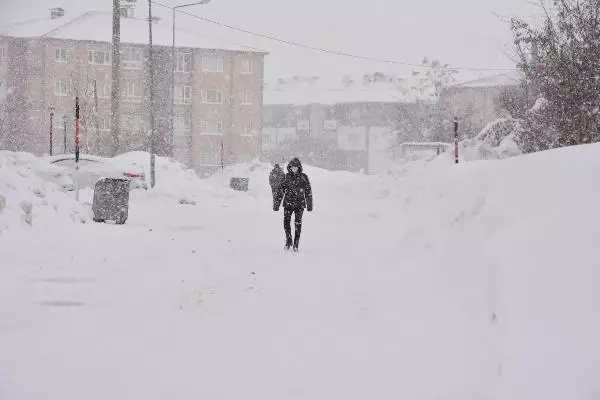 Bitlis'te 115 köy yolu, kardan kapandı Bitlis'te 115 köy yolu, kardan kapandı