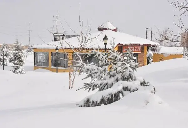 Bitlis'te 115 köy yolu, kardan kapandı Bitlis'te 115 köy yolu, kardan kapandı