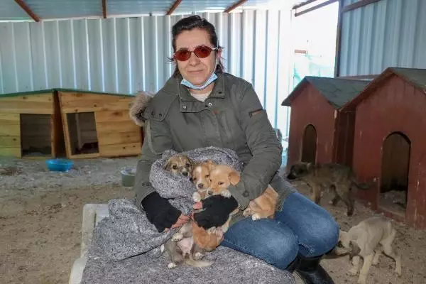 'Can Evi'ndeki sokak köpeklerini, soğuktan battaniyeye sararak koruyorlar 'Can Evi'ndeki sokak köpeklerini, soğuktan battaniyeye sararak koruyorlar