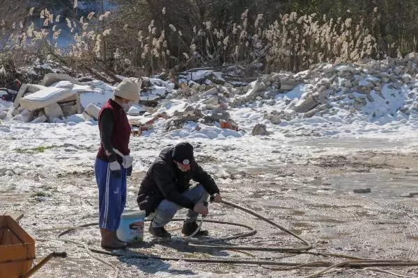 'Can Evi'ndeki sokak köpeklerini, soğuktan battaniyeye sararak koruyorlar 'Can Evi'ndeki sokak köpeklerini, soğuktan battaniyeye sararak koruyorlar