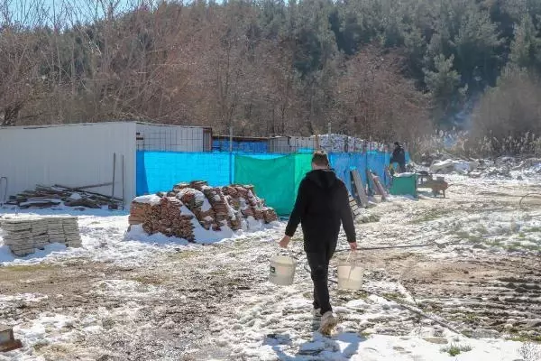 'Can Evi'ndeki sokak köpeklerini, soğuktan battaniyeye sararak koruyorlar 'Can Evi'ndeki sokak köpeklerini, soğuktan battaniyeye sararak koruyorlar