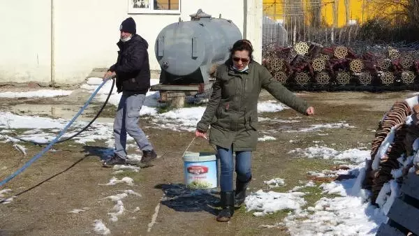 'Can Evi'ndeki sokak köpeklerini, soğuktan battaniyeye sararak koruyorlar 'Can Evi'ndeki sokak köpeklerini, soğuktan battaniyeye sararak koruyorlar