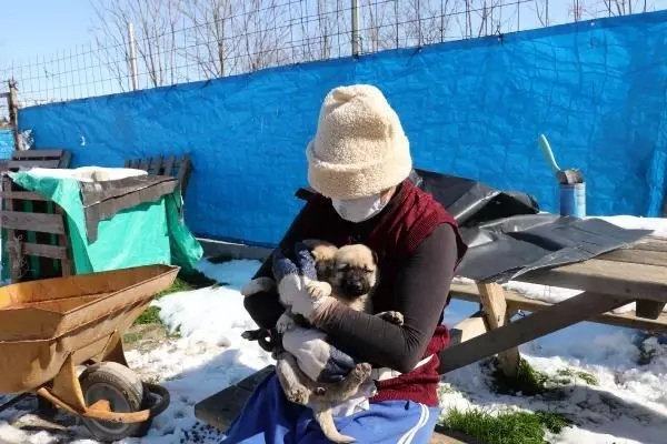 'Can Evi'ndeki sokak köpeklerini, soğuktan battaniyeye sararak koruyorlar 'Can Evi'ndeki sokak köpeklerini, soğuktan battaniyeye sararak koruyorlar