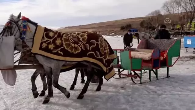 Çıldır'ın atlı kızaklarının masalsı gezintisinin sırrı: Çivili nal Çıldır'ın atlı kızaklarının masalsı gezintisinin sırrı: Çivili nal