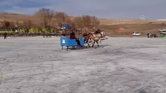 Çıldır'ın atlı kızaklarının masalsı gezintisinin sırrı: Çivili nal Çıldır'ın atlı kızaklarının masalsı gezintisinin sırrı: Çivili nal