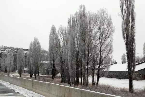 Doğu'da dondurucu soğuklar; Erzurum eksi 24.1, Erzincan eksi 23.9 Doğu'da dondurucu soğuklar; Erzurum eksi 24.1, Erzincan eksi 23.9