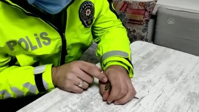 Son dakika haberleri! Donmak üzere olan serçeye polisten şefkat eli Son dakika haberleri! Donmak üzere olan serçeye polisten şefkat eli