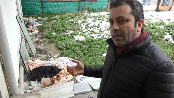 Esenyurt'ta donmak üzere olan yavru köpeği araç klimasında ısıtarak kurtardılar Esenyurt'ta donmak üzere olan yavru köpeği araç klimasında ısıtarak kurtardılar
