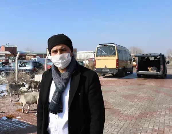 Esnaftan topladığı yiyecekleri sokak köpeklerine dağıtıyor Esnaftan topladığı yiyecekleri sokak köpeklerine dağıtıyor