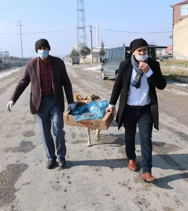 Esnaftan topladığı yiyecekleri sokak köpeklerine dağıtıyor Esnaftan topladığı yiyecekleri sokak köpeklerine dağıtıyor