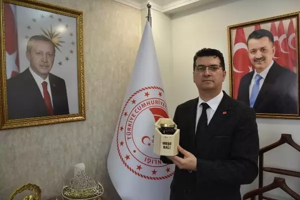 Istranca Ormanları'nda üretilen 'meşe balı' coğrafi işaret aldı Istranca Ormanları'nda üretilen 'meşe balı' coğrafi işaret aldı