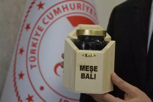 Istranca Ormanları'nda üretilen 'meşe balı' coğrafi işaret aldı Istranca Ormanları'nda üretilen 'meşe balı' coğrafi işaret aldı