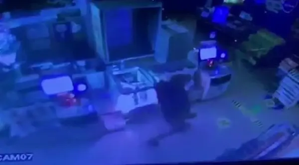 Kadıköy'de 7 ayrı hırsızlık olayından yakalanan şüphelinin hırsızlık anları kamerada Kadıköy'de 7 ayrı hırsızlık olayından yakalanan şüphelinin hırsızlık anları kamerada