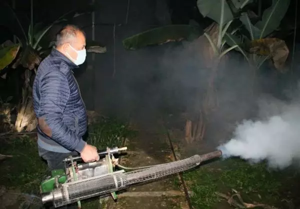 Manavgat'ta muz seralarında don nöbeti Manavgat'ta muz seralarında don nöbeti
