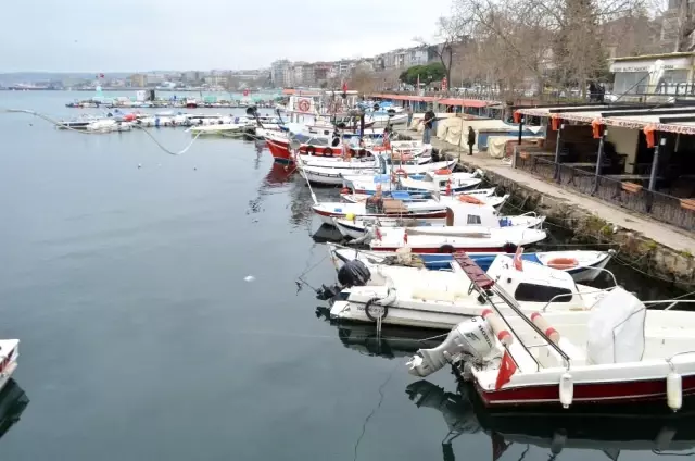 Balikcilarin Korkulu Ruyasi Deniz Salyasi 10 Yilin Ardindan Yeniden Ortaya Cikti Haberler Haberler Com