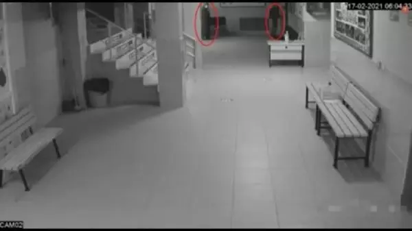 Son dakika haberleri | Okuldan bilgisayar ve parçaları ile çocuk ayakkabıları çalıp, toprağa gömmüşler Son dakika haberleri | Okuldan bilgisayar ve parçaları ile çocuk ayakkabıları çalıp, toprağa gömmüşler