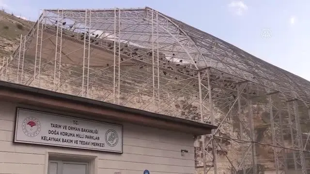 ŞANLIURFA - 'Bereketin sembolü' kelaynakların sayısının arttırılması için yaşam alanları genişletildi ŞANLIURFA - 'Bereketin sembolü' kelaynakların sayısının arttırılması için yaşam alanları genişletildi
