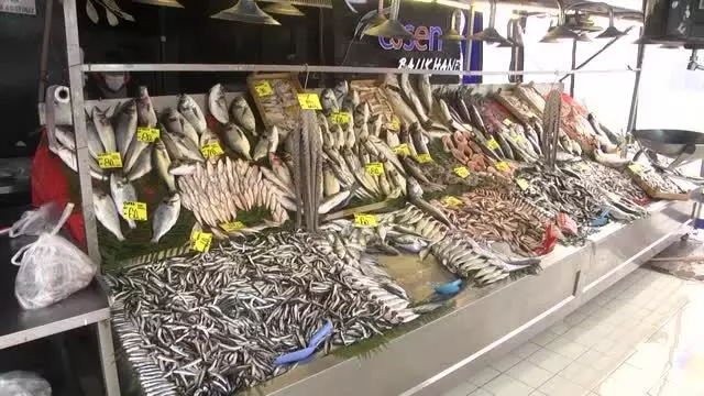 Sakarya ve Zonguldak'ta soğuk hava balık fiyatlarını arttırdı Sakarya ve Zonguldak'ta soğuk hava balık fiyatlarını arttırdı