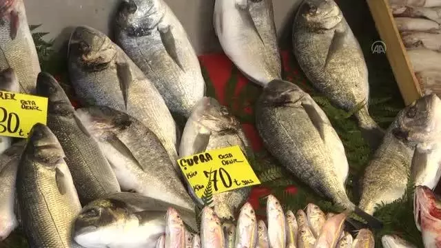 Sakarya ve Zonguldak'ta soğuk hava balık fiyatlarını arttırdı Sakarya ve Zonguldak'ta soğuk hava balık fiyatlarını arttırdı