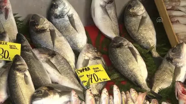 Sakarya ve Zonguldak'ta soğuk hava balık fiyatlarını arttırdı Sakarya ve Zonguldak'ta soğuk hava balık fiyatlarını arttırdı