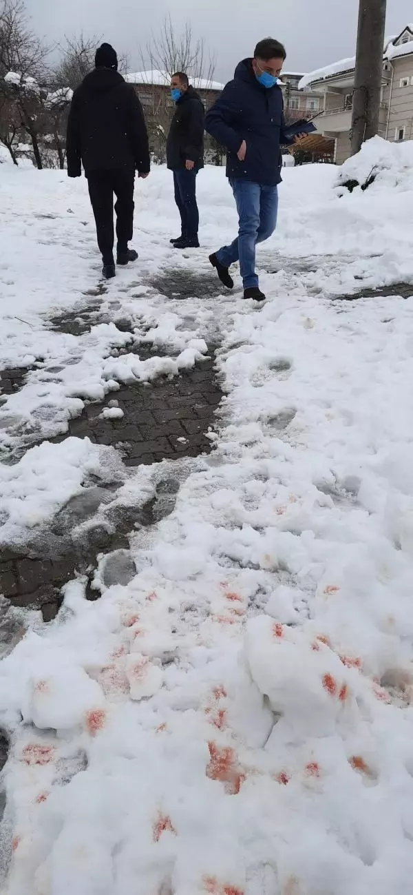 Sokaktaki kan izleri polisi harekete geçirdi Sokaktaki kan izleri polisi harekete geçirdi