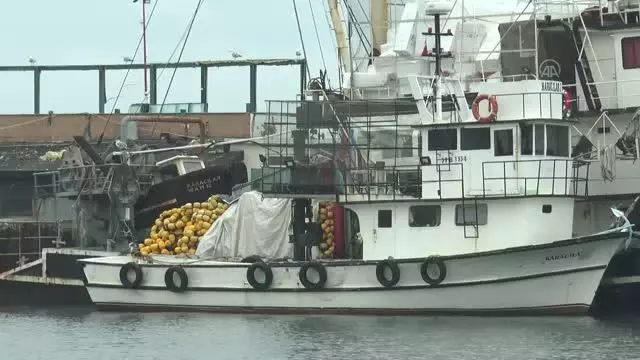Tekirdağlı balıkçılar Marmara'ya açılmak için deniz salyasının bitmesini bekliyor Tekirdağlı balıkçılar Marmara'ya açılmak için deniz salyasının bitmesini bekliyor
