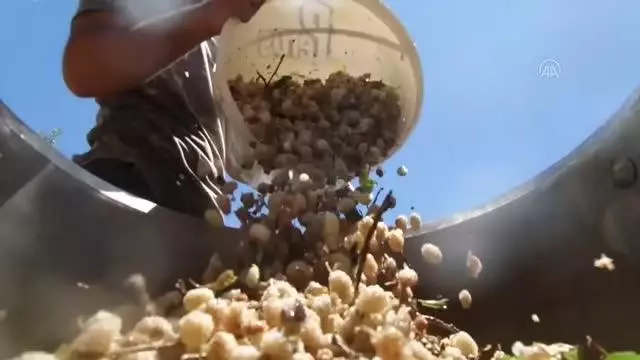 Tescilli 'Sivan dut pekmezi' Bingöl ekonomisine değer katacak Tescilli 'Sivan dut pekmezi' Bingöl ekonomisine değer katacak
