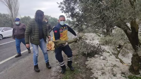 Yaralı kadını, itfaiye eri sırtında ambulansa taşıdı Yaralı kadını, itfaiye eri sırtında ambulansa taşıdı