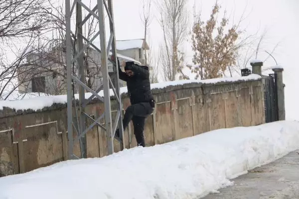 Yüksekova'da polis ve belediye ekipleri, kurt aradı Yüksekova'da polis ve belediye ekipleri, kurt aradı