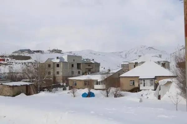 Yüksekova'da polis ve belediye ekipleri, kurt aradı Yüksekova'da polis ve belediye ekipleri, kurt aradı