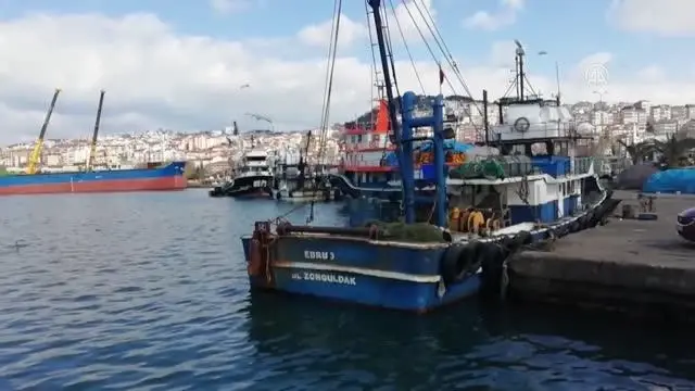 ZONGULDAK - Soğuk hava balık fiyatlarını arttırdı ZONGULDAK - Soğuk hava balık fiyatlarını arttırdı