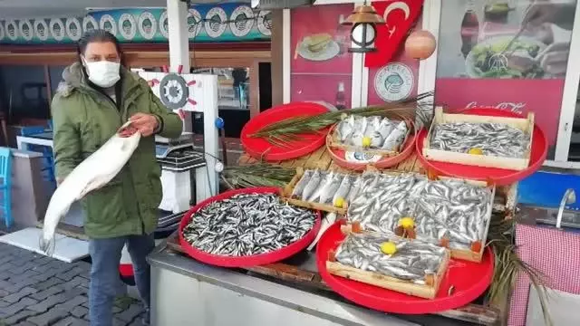 ZONGULDAK - Soğuk hava balık fiyatlarını arttırdı ZONGULDAK - Soğuk hava balık fiyatlarını arttırdı