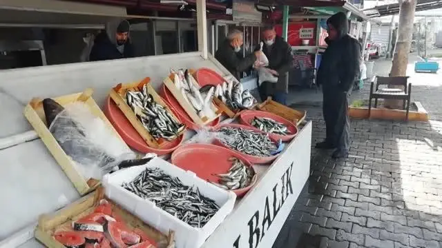 ZONGULDAK - Soğuk hava balık fiyatlarını arttırdı ZONGULDAK - Soğuk hava balık fiyatlarını arttırdı