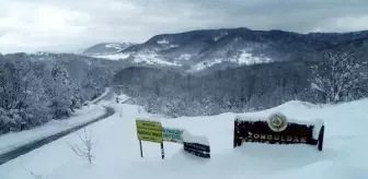 Zonguldak'ta ormanlarda seyrine doyumsuz manzara