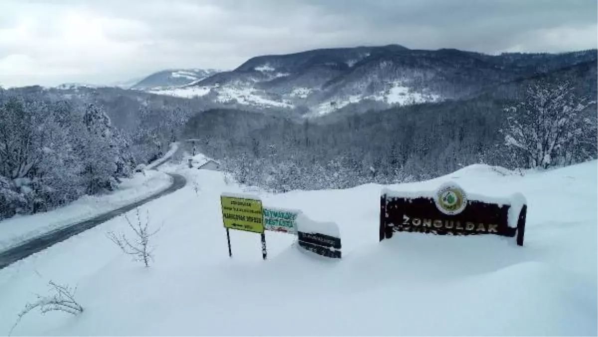 Zonguldak'ta ormanlarda seyrine doyumsuz manzara