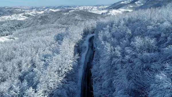 Zonguldak'ta ormanlarda seyrine doyumsuz manzara Zonguldak'ta ormanlarda seyrine doyumsuz manzara
