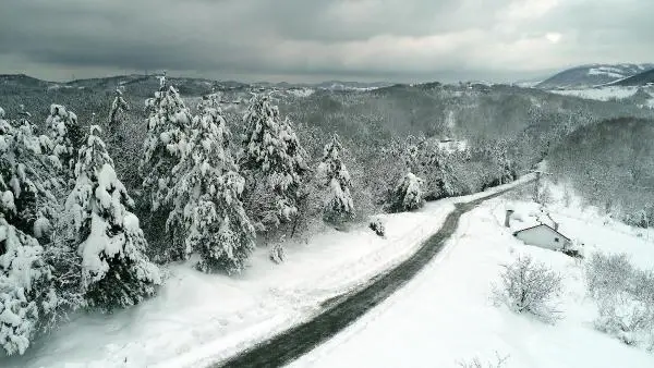 Zonguldak'ta ormanlarda seyrine doyumsuz manzara Zonguldak'ta ormanlarda seyrine doyumsuz manzara